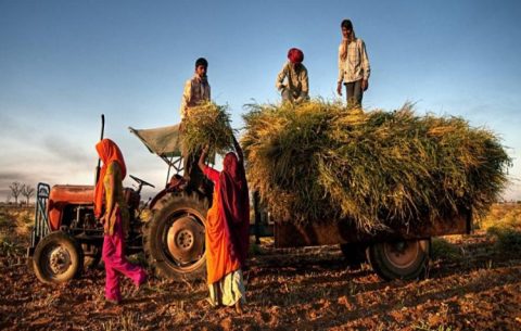 Pradhan Mantri Annadata Aay Sanrakshan Abhiyan (PM-AASHA)
