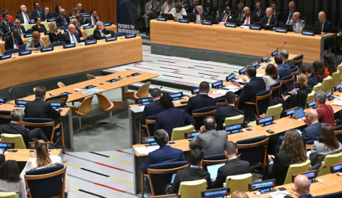 Partners for Multilateralism (P4M) Summit