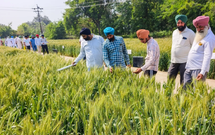 India’s First Soil-Carbon Payments to Farmers