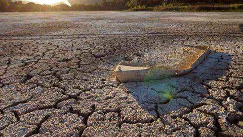Delhi Declaration on Drylands