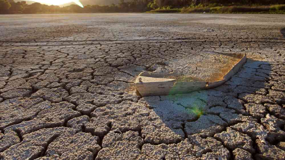 Delhi Declaration on Drylands