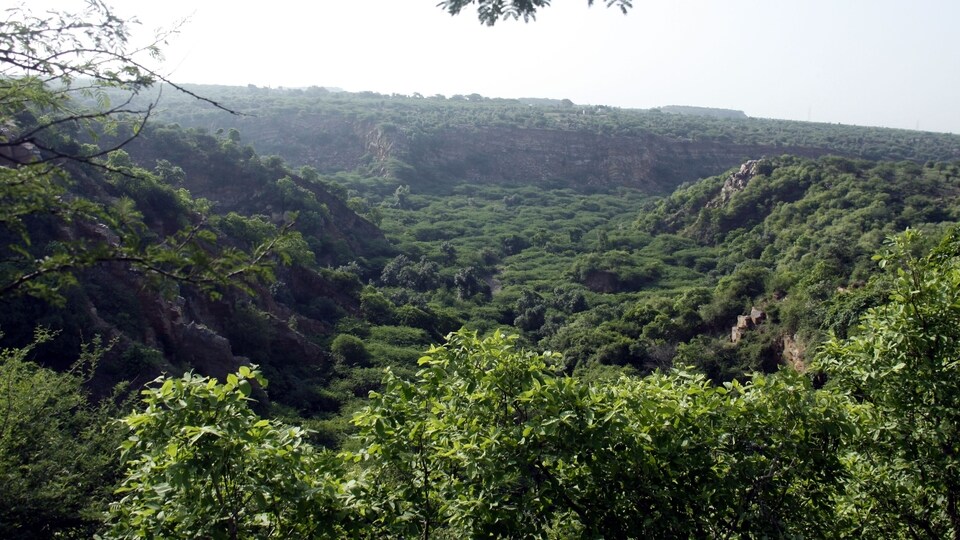 FRA and Gram Sabha Consent for Forest Clearance