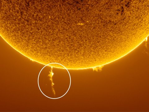 New Study Captures Sun’s Early Warning Signs Before Solar Flares