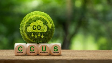 Carbon Capture, Utilisation and Storage (CCUS)
