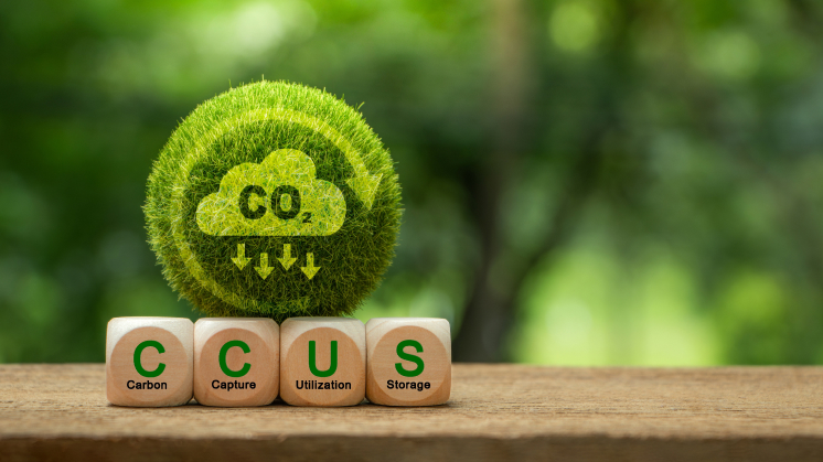 Carbon Capture, Utilisation and Storage (CCUS)